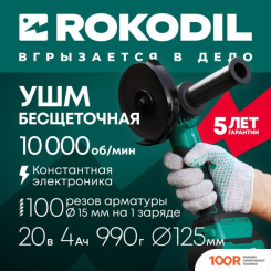 Угловая шлифмашина Rokodil SPARK PRO (С 1-ИМ АКБ, КЕЙС) (395328)