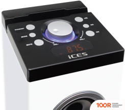 Музыкальный центр iCES IBT-6 ZEBRA (364931)