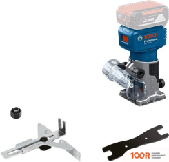 Bosch GLF 18V-8 PROFESSIONAL 06016C6020 (БЕЗ АКБ) (306016)