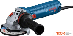 Угловая шлифмашина Bosch GWS 12-125 S PROFESSIONAL 06013A6020 (292892)