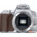 Фотоаппарат Canon EOS 250D Kit 18-55 IS STM (серебристый)