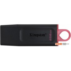 USB-флешка Kingston Exodia 256GB
