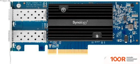 Synology E10G21-F2 (410847)