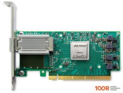 Mellanox MCX515A-CCAT (410755)