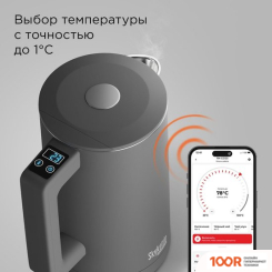 Redmond (Редмонд) SKYKETTLE KM231S (СЕРЫЙ) (409312)