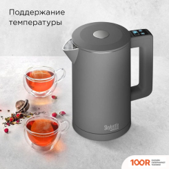 Redmond (Редмонд) SKYKETTLE KM231S (СЕРЫЙ) (409312)