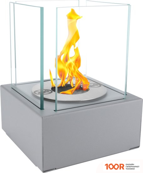 BiokominkiGMT SMART (СЕРЫЙ) (407418)