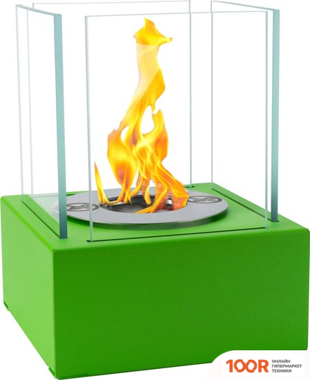 BiokominkiGMT SMART (ЗЕЛЕНЫЙ) (407417)