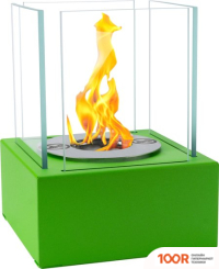 BiokominkiGMT SMART (ЗЕЛЕНЫЙ) (407417)