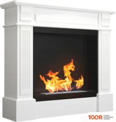 BiokominkiGMT KOLOSEUM WERONA (407414)