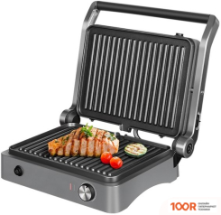 Redmond (Редмонд) STEAKMASTER RGM-M814 (407114)