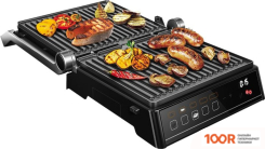 Redmond (Редмонд) STEAKMASTER RGM-M813 (407113)