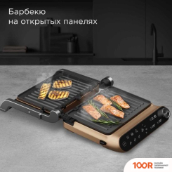 Redmond (Редмонд) STEAKMASTER GM303 (БРОНЗОВЫЙ) (407103)