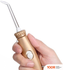 Waterpik WP-108 (406945)