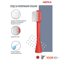 Hapica PANDA DBK-5RWG (406695)