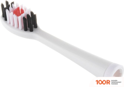 CS Medica CS-9230-F (406565)