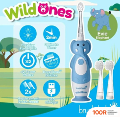 Brush-Baby WILDONES ELEPHANT (406523)