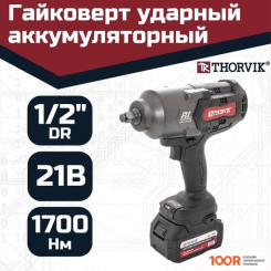 Thorvik BBIW121700 (С 2-МЯ АКБ, КЕЙС) (406346)