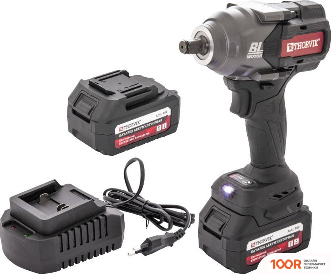 Thorvik BBIW121080 (С 2-МЯ АКБ, КЕЙС) (406345)