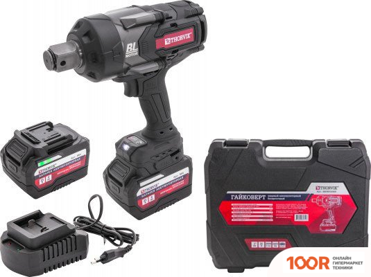 Thorvik BBIW012400 (С 2-МЯ АКБ, КЕЙС) (406344)