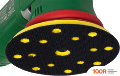 Status XPA21-150CED (406167)