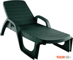 Шезлонг Элластик-Пласт ПРОВАНС 190X70X32 (ТЕМНО-ЗЕЛЕНЫЙ) (406115)
