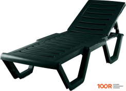 Шезлонг Элластик-Пласт АТЛАНТ 186X63X32 (ТЕМНО-ЗЕЛЕНЫЙ) (406108)