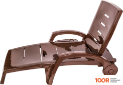 Шезлонг Стандарт пластик 150-0008-61 (ШОКОЛАДНЫЙ) (406095)