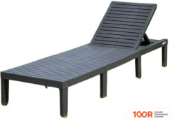 Шезлонг Ipae Progarden HAI08CCA (405994)