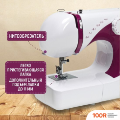 Janete 565 (PURPLE 683C) (405348)