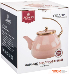 Agness ТЮДОР 950-339 (403920)