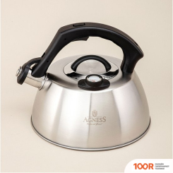 Agness 908-067 (403667)