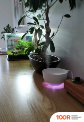 Увлажнитель воздуха Solove H1 (БЕЛЫЙ) (395221)