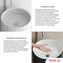 Умывальник Wellsee CHALICE PERFECTION 230613000 (ОТДЕЛЬНОСТОЯЩИЙ, БЕЗ ОТВЕРСТИЯ ПОД СМЕСИТЕЛЬ, МАТОВЫЙ ЧЕРНЫЙ/ГЛЯНЦЕВЫЙ БЕЛЫЙ) (400004)