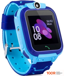 Wonlex GW600S (ГОЛУБОЙ) (396012)