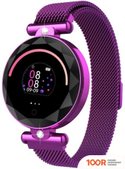 Wise SB047 (ФИОЛЕТОВЫЙ) (395966)