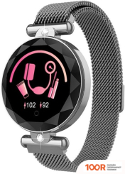 Wise SB047 (СЕРЕБРИСТЫЙ) (395965)