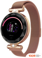 Wise SB047 (ЗОЛОТИСТЫЙ) (395964)