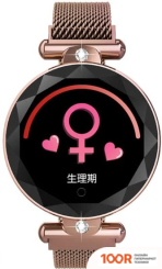 Wise SB047 (ЗОЛОТИСТЫЙ) (395964)