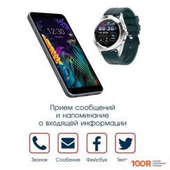 BandRate Smart BRSY1010SGR (395407)