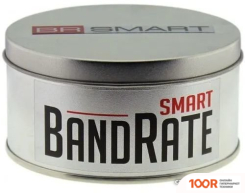 BandRate Smart BRST500500GGWB (395404)