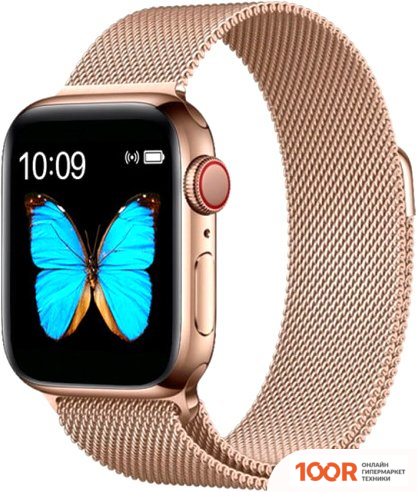 BandRate Smart BRST500500GGWB (395404)