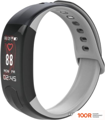 BandRate Smart BRSHI11PROCBBGR (395380)