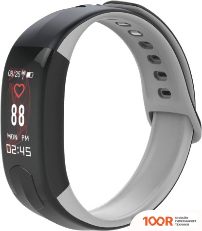 BandRate Smart BRSHI11PROCBBGR (395380)