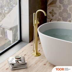 Vieir V403534S (383011)