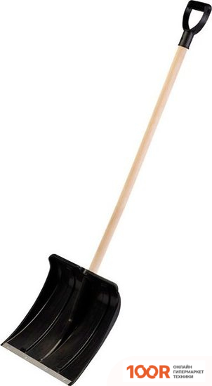 Рыжий кот 183774 (376965)