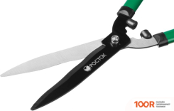 Росток 423555 (376940)