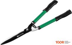 Росток 423555 (376940)