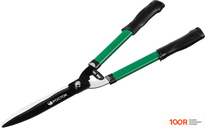 Росток 423555 (376940)