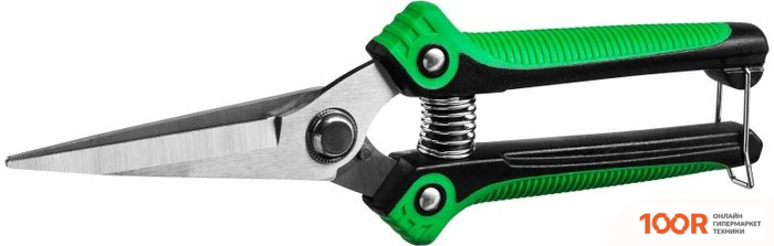 Росток 423080 (376939)